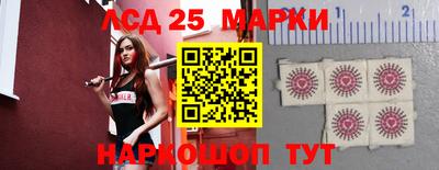 гидропоника Новокубанск