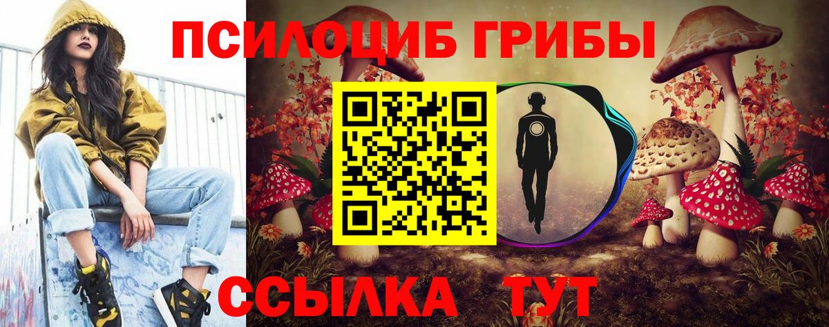 Галлюциногенные грибы ЛСД Хасавюрт