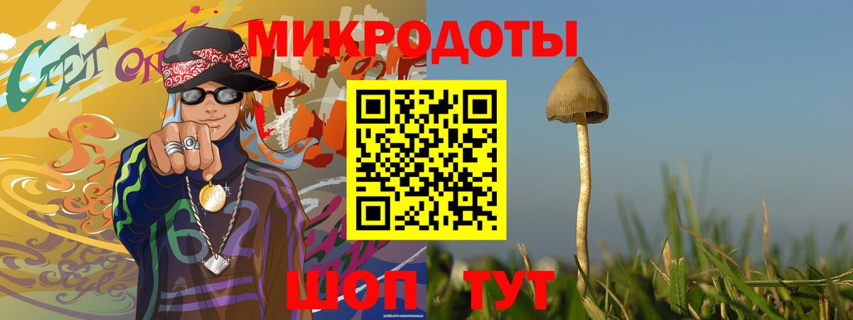 Псилоцибиновые грибы прущие грибы  Вход с VPN  закладки  Хасавюрт  Псилоцибиновые грибы ЛСД 
